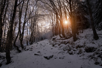 Картинка природа зима софия солнце закат деревья горы болгария витоша снег