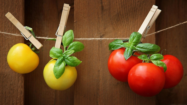 Обои картинки фото еда, помидоры, томаты, базилик, красные, желтые