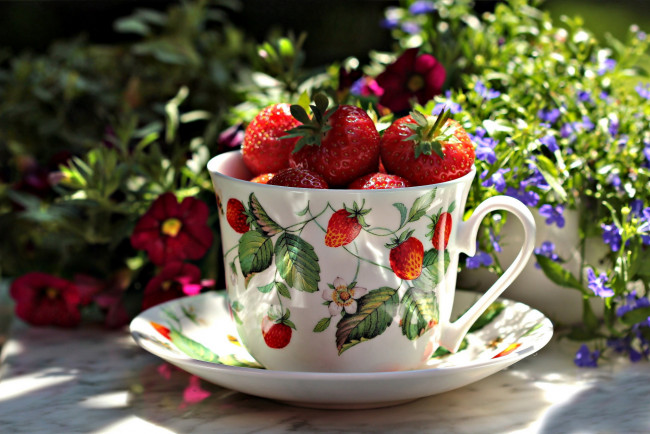 Обои картинки фото еда, клубника,  земляника, ягоды, лето, блюдце, чашка