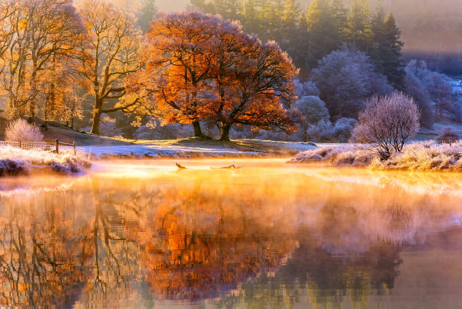 Обои картинки фото природа, реки, озера, ноябрь, пар, деревья, свет, осень, утро, река, иней