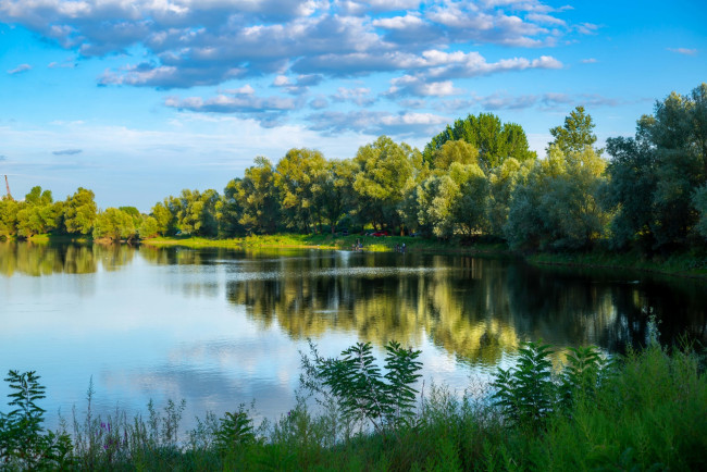 Обои картинки фото природа, реки, озера, деревья, озеро, отражение