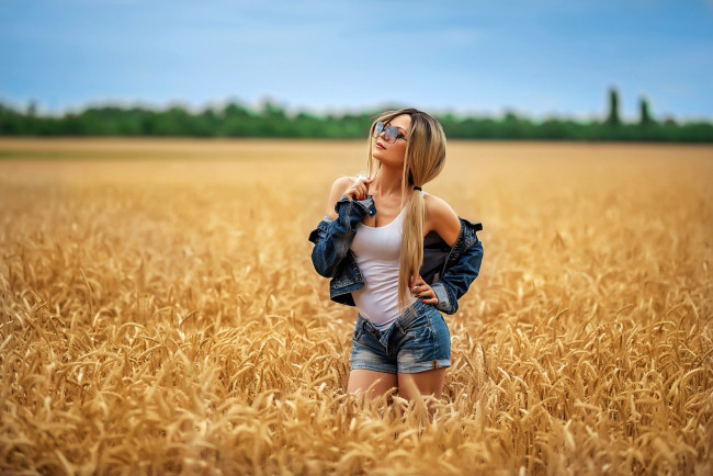 Обои картинки фото девушки, - блондинки,  светловолосые, блондинка, поле, пшеница, очки, шорты