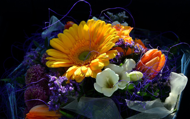 Обои картинки фото цветы, разные вместе, гербера, тюльпан, хризантемы