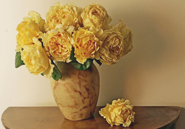 Обои картинки фото цветы, розы, ваза, желтый