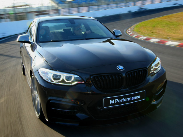 Обои картинки фото автомобили, bmw, track, coupе, 2014г, f22, edition, m235i