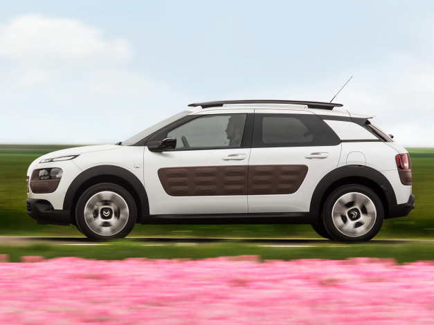 Обои картинки фото автомобили, citroen, 2014г, cactus, c4, citroеn