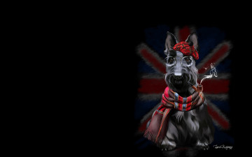 Картинка рисованное животные +собаки собака шерлок детская минимализм арт lorri kajenna трубка терьер кепка флаг