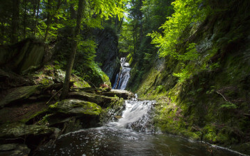 Картинка природа водопады камни лес водопад деревья вода