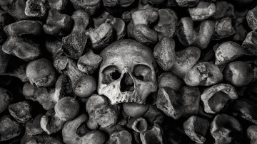 Картинка 3д+графика ужас+ horror фон череп камни