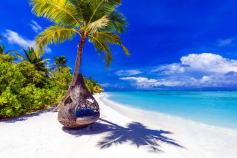 Картинка природа тропики пальмы лагуна пляж
