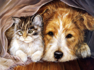 обоя друзья, рисованные, животные, кот, собака