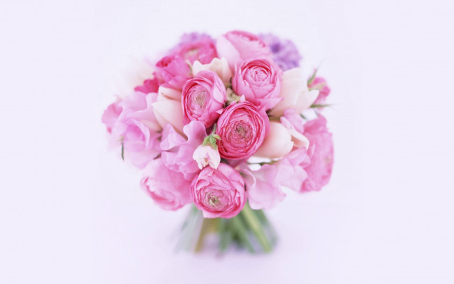 Обои картинки фото цветы, букеты, композиции, розовый