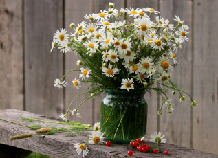 Картинка цветы ромашки банка букет лето