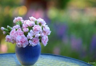 Картинка цветы гвоздики розовый букет