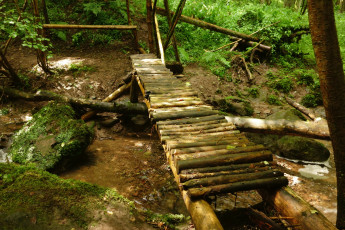Картинка природа дороги мостик лес овраг ручей