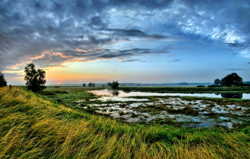 Картинка природа восходы закаты облака вода трава поле горизонт солнце