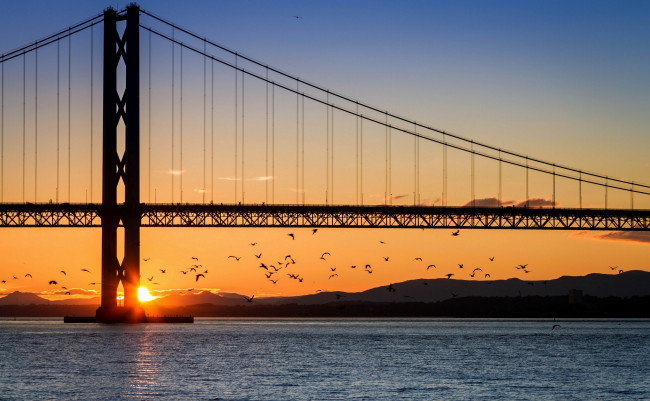 Обои картинки фото forth, bridge, edinburgh, scotland, природа, восходы, закаты, залив, закат, птицы, шотландия, firth, of, форт-бридж, эдинбург