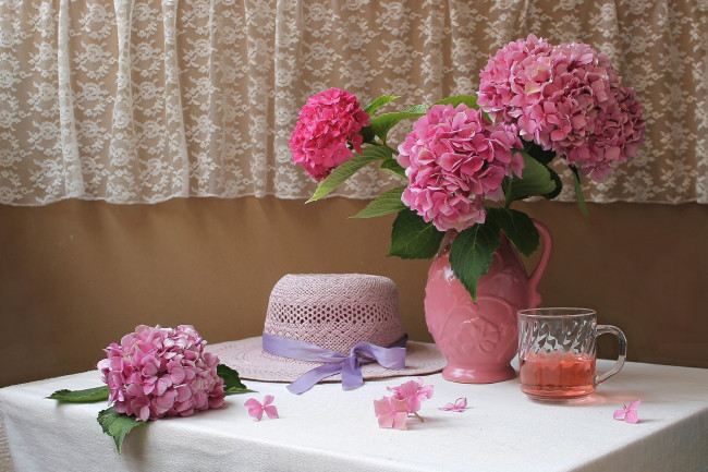 Обои картинки фото цветы, гортензия, розовый, шляпа