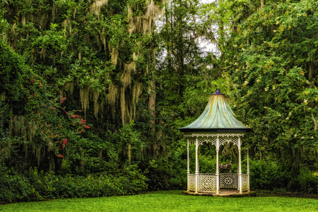 Обои картинки фото magnolia, plantation, gardens, charleston, south, carolina, природа, парк, южная, каролина, Чарлстон, деревья, беседка, сады, магнолий