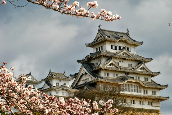 Обои картинки фото himeji, castle, города, замки, Японии, Япония, замок, цветущая, сакура