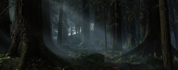 Картинка видео+игры star+wars +battlefront лес