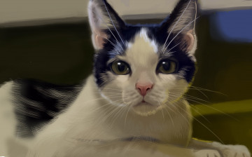 Картинка рисованное животные +коты кошка