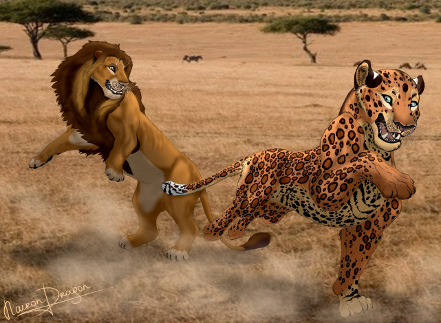 Обои картинки фото рисованное, животные, лев, тигр