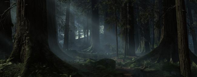 Обои картинки фото видео игры, star wars,  battlefront, лес