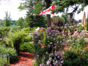 Картинка природа парк флаг цветы клумбы