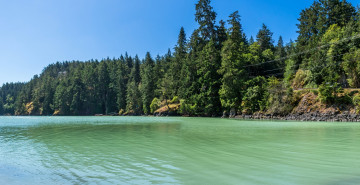 Картинка канада природа реки озера водоем деревья камни