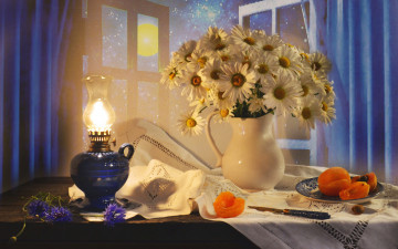 Картинка еда персики +сливы +абрикосы нож абрикосы фрукты тарелка ромашки цветы кувшин лампа салфетка столик луна ночь занавески окно