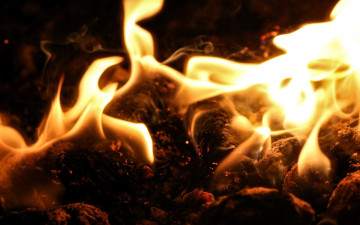 Картинка природа огонь угли пламя