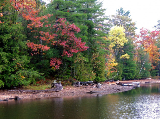 Обои картинки фото природа, реки, озера, деревья, осень, река, вода