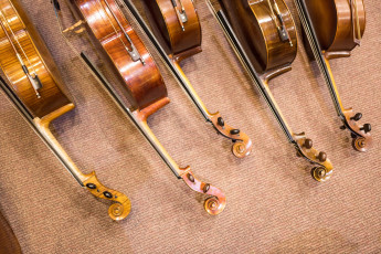 Картинка музыка -музыкальные+инструменты скрипка виолончель