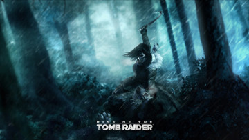 обоя видео игры, rise of the tomb raider, лес, фон, девушка
