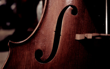Картинка музыка -музыкальные+инструменты дека виолончель