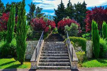 Картинка природа парк лестница кусты деревья