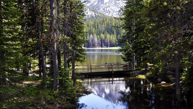 Обои картинки фото природа, реки, озера, горы, лес, озеро, мостки