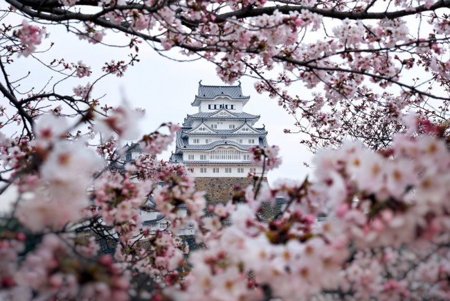 Обои картинки фото himeji castle, hyogo, japan, города, замки японии, himeji, castle