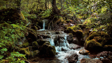 Картинка природа реки озера камни вода лес