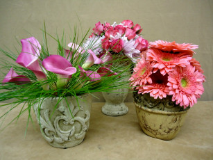 Картинка цветы букеты композиции вазы герберы розы