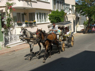 Картинка разное транспортные средства магистрали лошади повозка