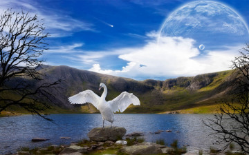 Картинка 3д графика atmosphere mood атмосфера настроения лебедь тучи планеты ветки горы озеро