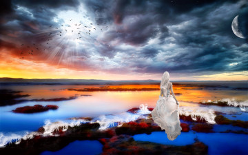 Картинка 3д графика atmosphere mood атмосфера настроения птицы планеты девушка берег камни океан тучи свет