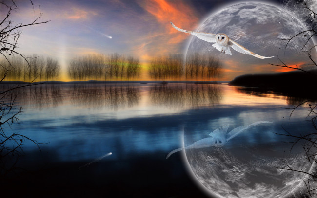 Обои картинки фото 3д, графика, atmosphere, mood, атмосфера, настроения, полет, озеро, сова, комета, деревья, планета, отражение