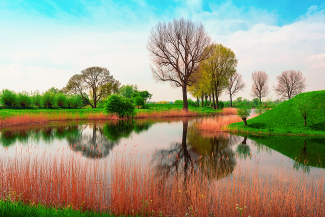 Обои картинки фото природа, реки, озера, река, деревья, трава, берег