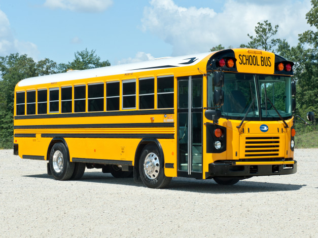 Обои картинки фото автомобили, автобусы, bus, school, fe, american, all, blue, bird
