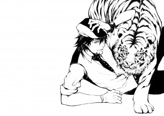 обоя аниме, tiger and bunny, kaburagi