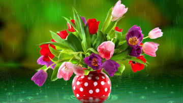 Картинка цветы тюльпаны букет ваза дождь капли