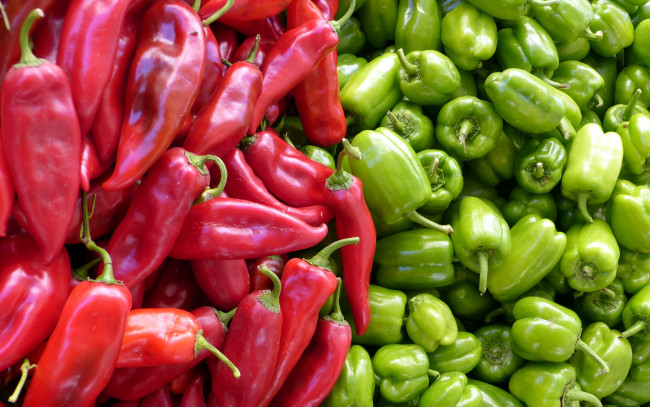 Обои картинки фото еда, перец, много, зеленый, красный